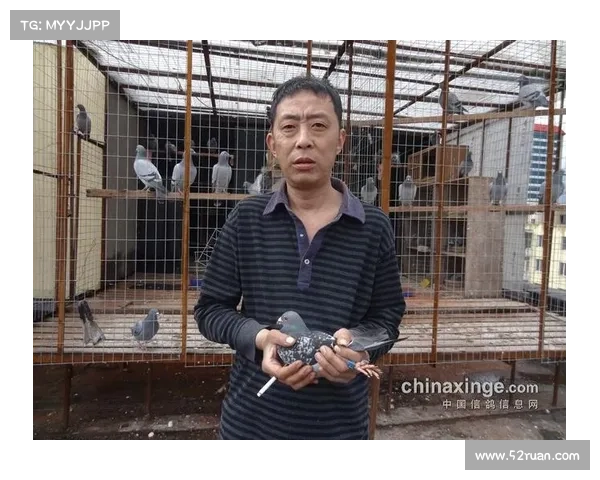 赛事直播4,赛事直播鸽网科汇